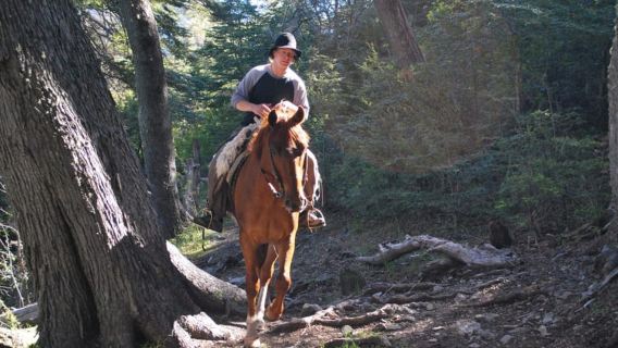 San Carlos De BarilocheTours