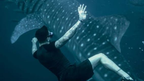 Cebu:Oslob WhaleSharkWatching,Kawasan Canyoneering