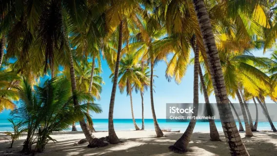 Punta Cana: Saona Island Day Trip with Catamaran Cruise