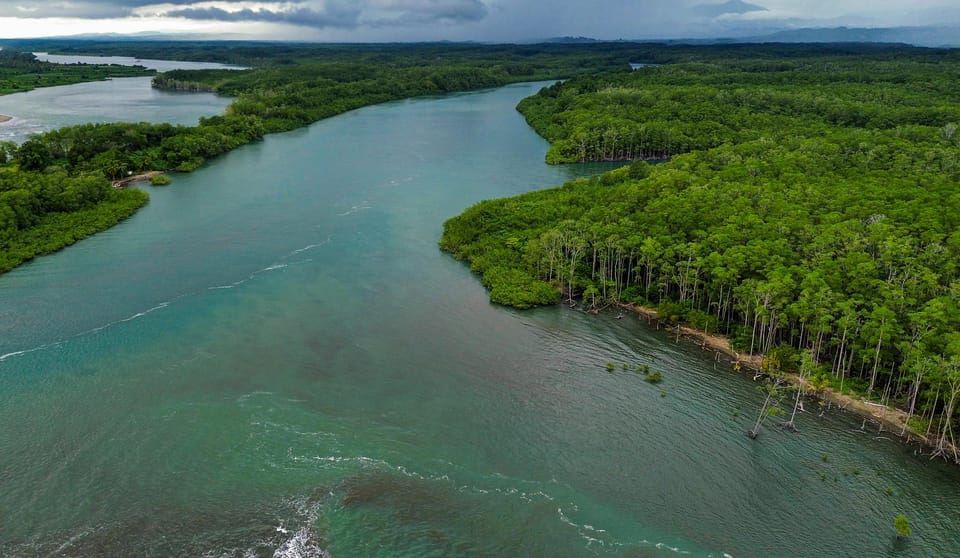 Manuel Antonio Mangrove Boat Tour