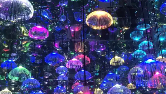 馬戲城ERA雜技表演【14點場】+上海梵高星空館·半日遊