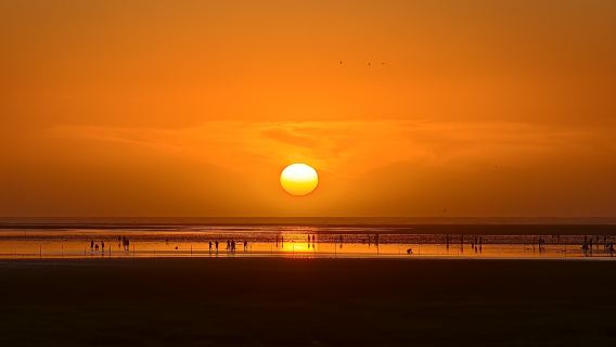 台中発|高美湿地+宮原眼科+逢甲夜市 日帰りツアー