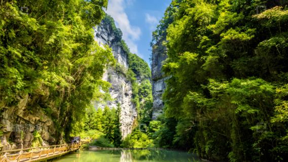 lawatan sehari VIP peribadi ke Jambatan Semula Jadi Tiga Chongqing Wulong + Jurang Naga Air + Sungai Wu