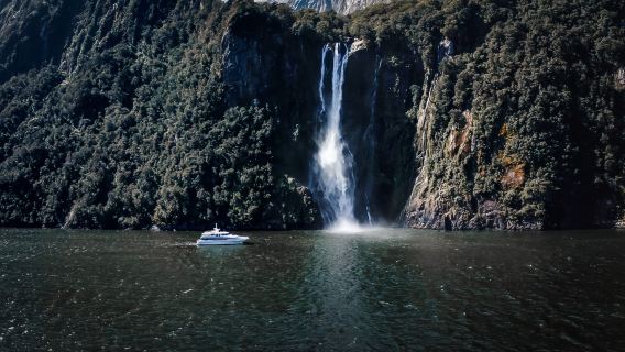 Milford Sound / Piopiotahi join-in tour 1-day tour (including cruise · English-speaking group) | Depart from Queenstown or Te Anau