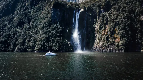 Milford Sound tour di gruppo di un giorno (con crociera, tour in inglese) | Partenza da Quilpie o Te Anau