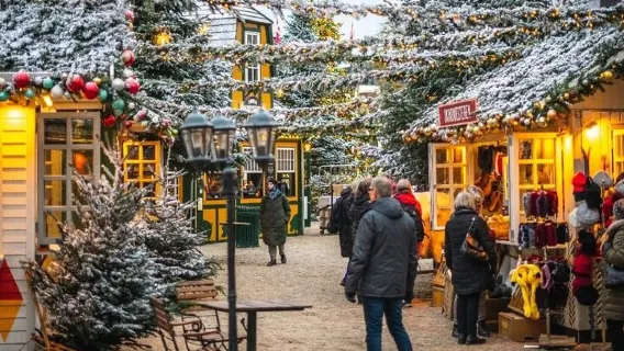 Segway Tour of Copenhagen - Winter Christmas Tour 75 min. 