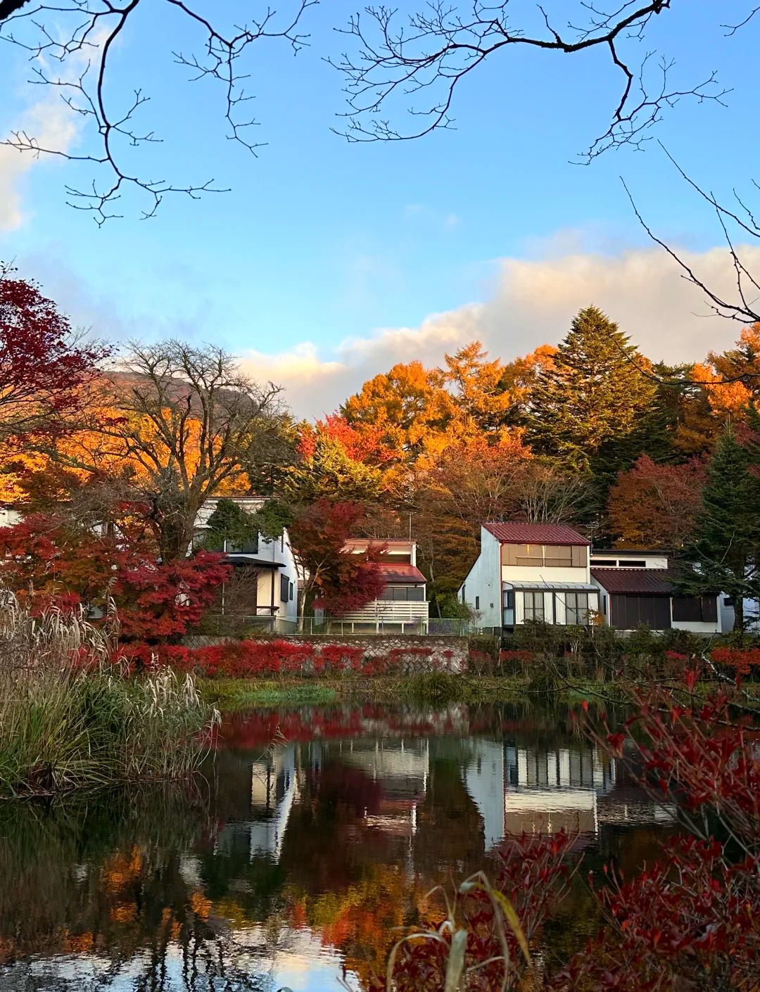 日本輕井澤：高原教會+石之教堂+白絲瀑布+雲湯池+王子購物廣