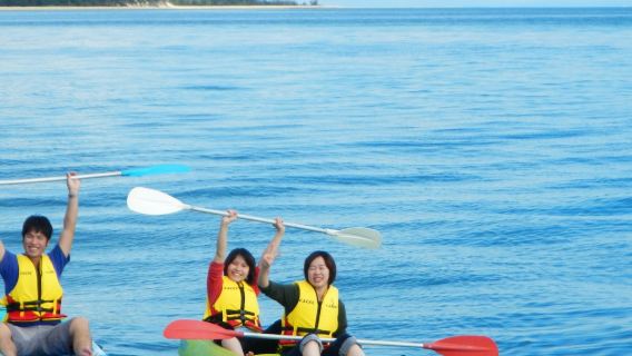 Brisbane: Moreton Island Day Pass + Ferry Transfers