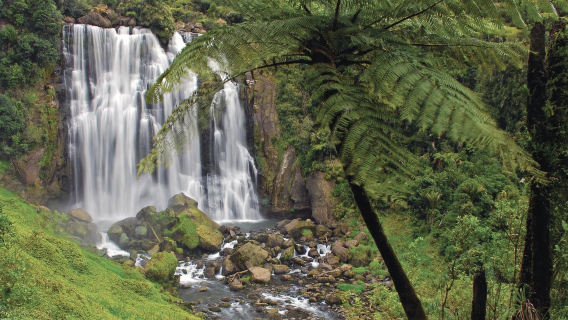 紐西蘭奧克蘭+霍比特村+陶朗加一日遊【中文專車-愜意舒適】