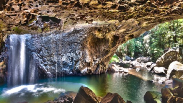 Gold Coast 1-Day Tour Premium Chinese Small Group ► Springbrook National Park Day Tour