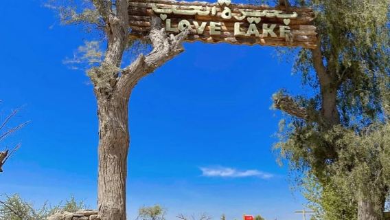 Dubai Deep Cultural Desert Experience Tour (Chinese)