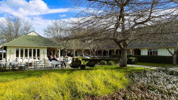 紐西蘭北島惠靈頓馬丁堡酒莊半日遊【可選美食團丨中文小團】