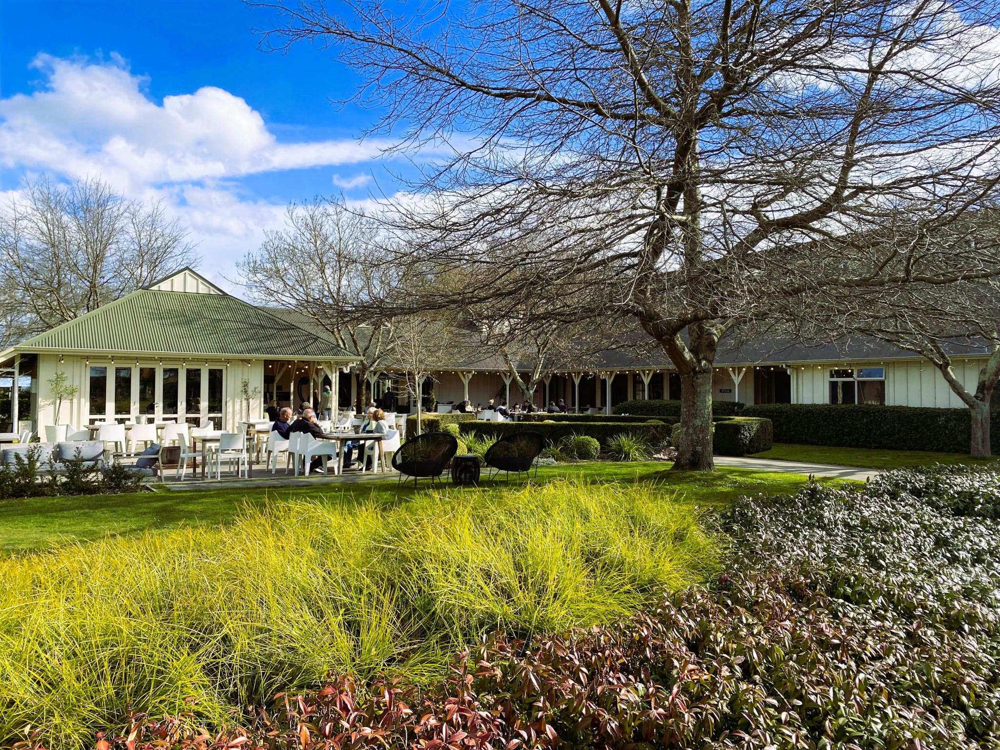 紐西蘭北島惠靈頓馬丁堡酒莊半日遊【可選美食團丨中文小團】