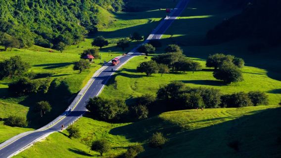 【純玩2-8人小團】武隆天生三橋+仙女山森林公園+烏江一日遊