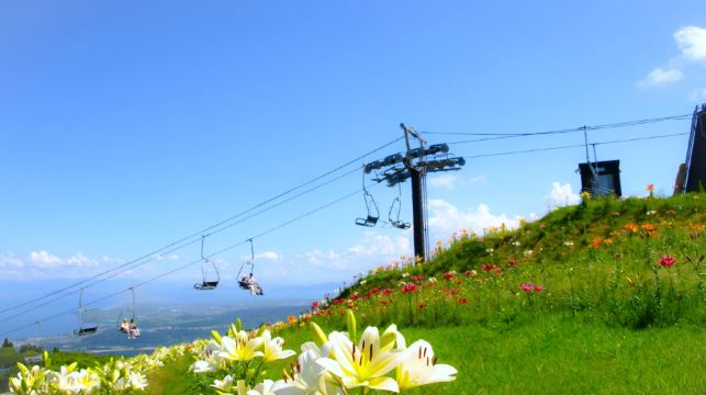 琵琶湖白鬚神社+三千院+滿月堂浮御堂+近江八幡一日遊