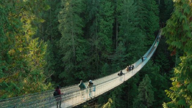 溫哥華自然 + 城市一日遊（中文司機）