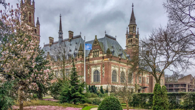 荷蘭阿姆斯特丹-海牙-鹿特丹-一日遊【中文包車自由行】