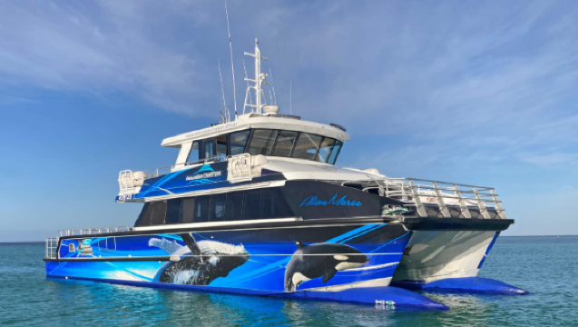 澳洲布雷默峽谷賞鯨之旅【一睹虎鯨探頭探腦的迷人身影】