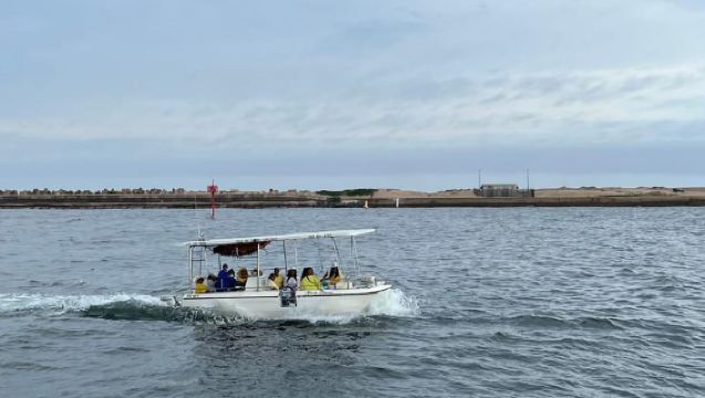 Durban: 1-Hour Boat Cruise from Wilson's Wharf