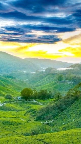 Hangzhou to Mogan Mountain Private Day Tour (Bamboo Sea, Sword Pond Waterfall)