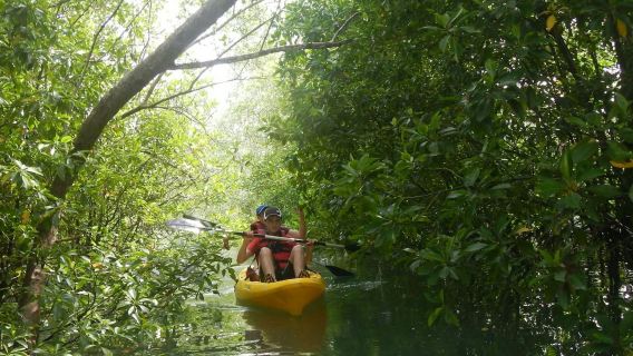 ทัวร์เต็มวันพายเรือคายัคและปั่นจักรยานที่ปูเลาอูบิน พร้อมอาหารกลางวัน
