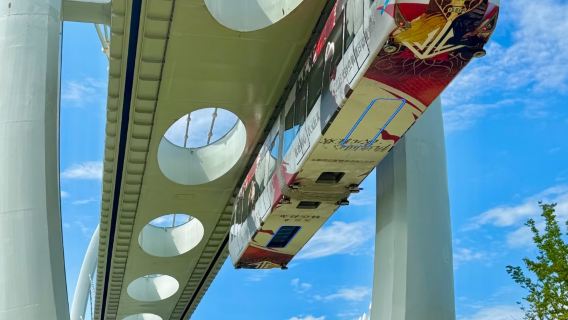 朝から晩まで楽しむ丨黄鶴楼+省博物館+東湖+空軌+武漢両江遊覧・紅巷埠頭(長江への夜遊び)日帰りツアー