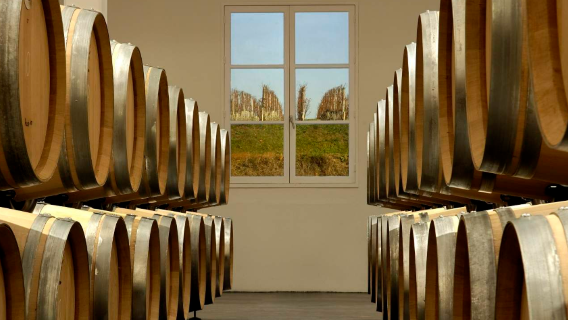 Depart from Bordeaux, France | Médoc wine tasting (optional morning or afternoon session)