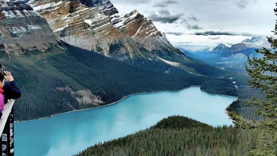 Banff Pergi-Balik: Tasik Bow + Tasik Peyto + Ekspedisi Glacier Columbia Lawatan Sehari Sewaan Peribadi Bahasa Cina