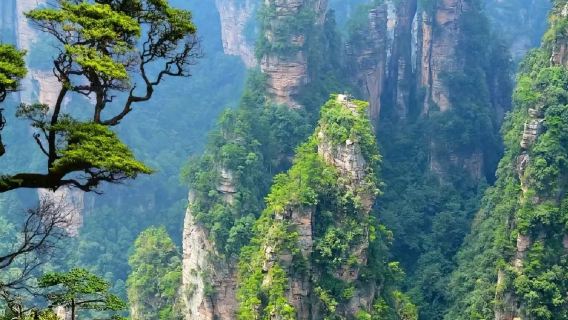 1-day tour to Zhangjiajie National Forest Park + helicopter private tour in English/Russian/Japanese/Korean