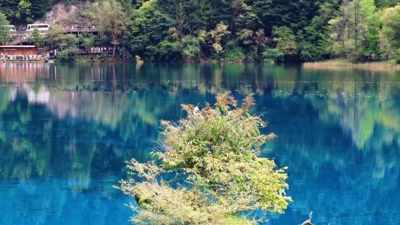 Tiket masuk Taman Negara Jiuzhaigou + bas pelancongan VIP dalam taman (dilengkapi penerangan berpandu berkualiti)