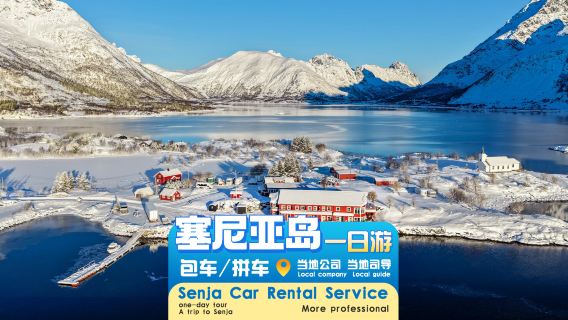 [Secreto ártico de Noruega·Persiguiendo auroras] Excursión de un día en coche privado/compartido en Senja·Grupo de 4-8 personas + servicio de conductor-guía en chino/inglés | Fiordos vírgenes + costa impresionante + montañas nevadas de ensueño
