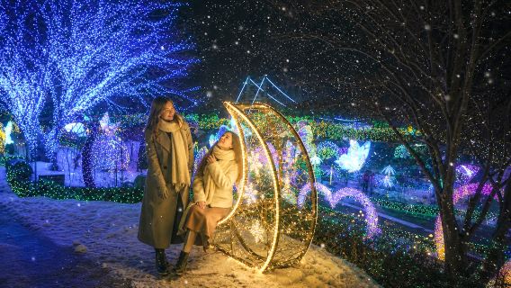 Nami Island, Rail Bike, Gapyeong Sheep and Alpaca Farm, and Starlight Festival