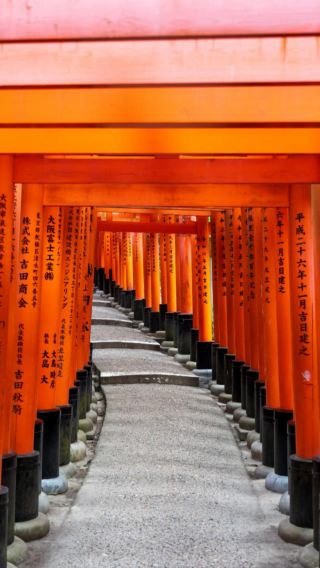 【日本京都】市区貸切チャーターワンデーツアー-行程景点可調整-カスタマイズ可能な行程