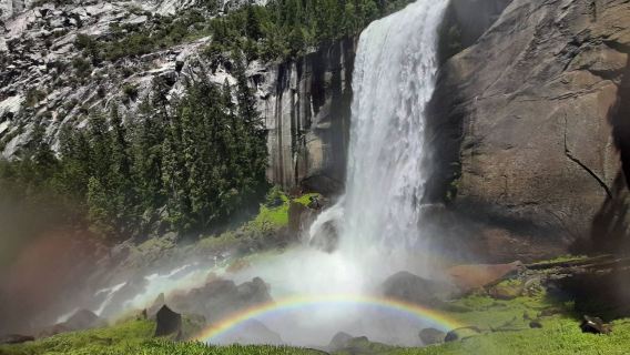 Amerika Syarikat San Francisco - Yosemite - Hutan Redwood Purba - Sewaan peribadi - Jelajah