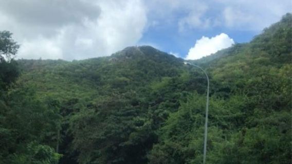 Antigua: Nelson's Dockyard, Shirley Heights & Ruins Tour