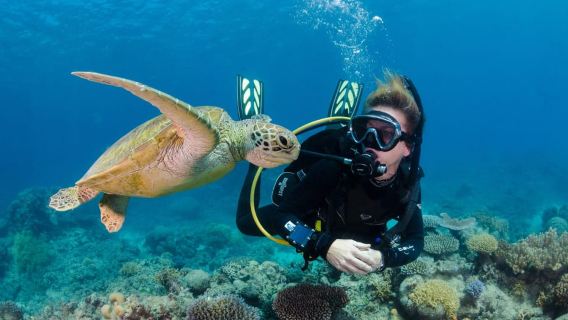 Antalya/Kemer: Sunset Scuba Diving Adventure w/Hotel Pickup