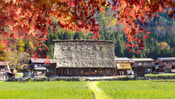 Perjalanan satu hari menikmati musim gugur di Shirakawa-go dari Nagoya ke Hida Takayama + Desa Gassho Shirakawa-go Situs Warisan Dunia