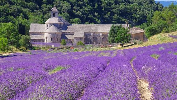 GordesTours