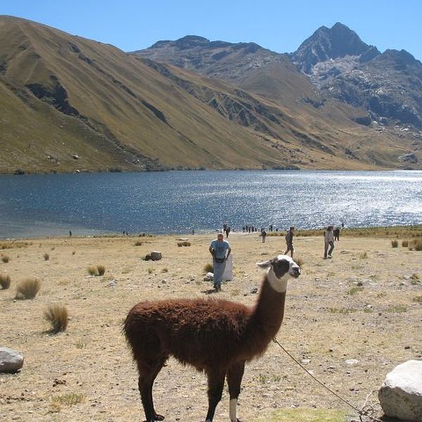 Querococha Lake and Chavin Ruins and from Huaraz| Trip.com