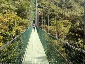 Full day zip line tour with butterfly and hanging bridges near of San Jose 