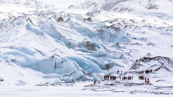 Vik, Iceland: Kenaikan Glasier Sólheimajökull Separuh Hari (3j)