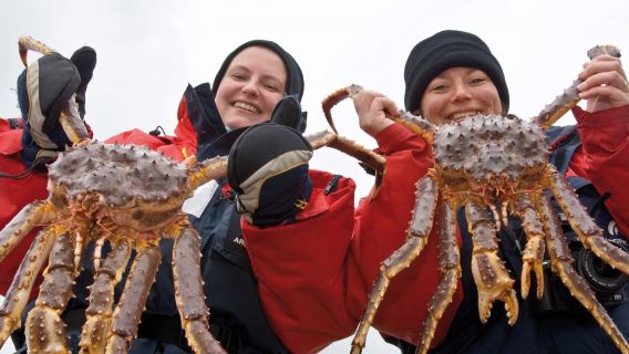 Norway king crab fishing 1-day tour [3 hrs]|English tour · Kirkenes round-trip