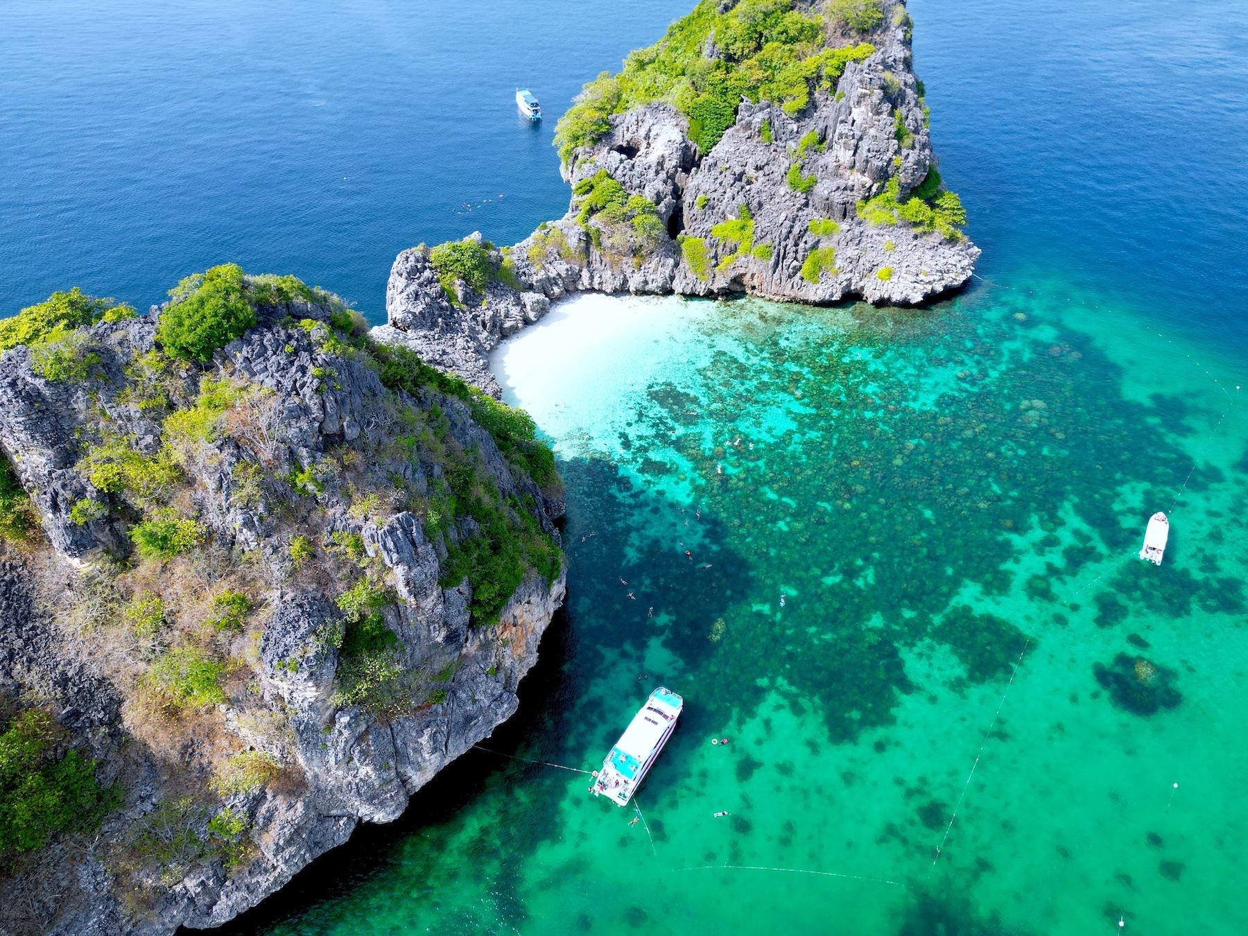 Koh Lanta: Snorkel Tour by Speedboat to Koh Haa and Koh Rok