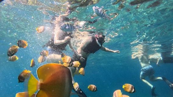 BaliExperiences