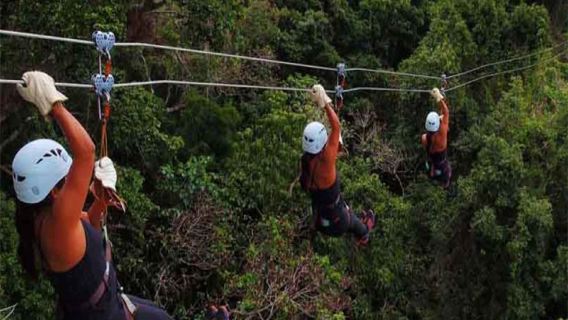 ทัวร์ซิปไลน์ป่าที่อ่าวโมมิฟิจิ|การสำรวจถ้ำ|ทัวร์ครอบครัว|รับที่โรงแรม