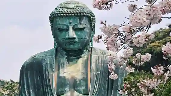 日本東京鎌倉大佛一日遊鶴岡八幡宮江之島天天發團中文司導