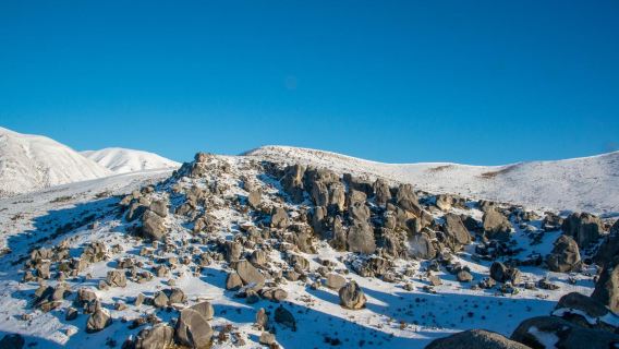 ChristchurchTours