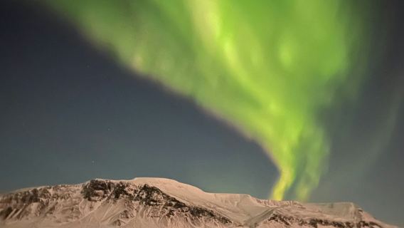 Reykjavik: Northern Lights Boat Tour