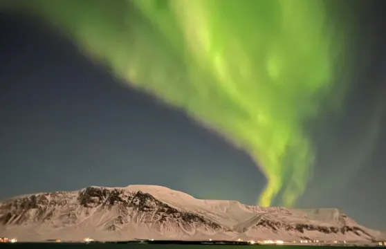 雷克雅未克：極光遊船之旅