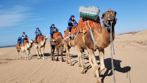 EssaouiraTours